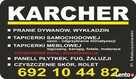 Opalenica czyszczenie pranie odgrzybianie Karcher - 2