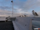 SOPOT - MIESZKANIE k.Plaży - WYNAJEM NA DOBY - 2