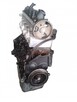 SILNIK FIAT DUCATO 2.0 JTD 1997 ccm 62kW 84KM RHV DW10 02- - 4