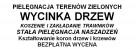 Wycinka drzew, czyszczenie terenów - bezpłatna wycena - 2