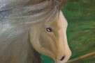 Obraz olejny na płótnie Koń konik na łące - 3