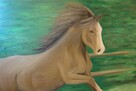 Obraz olejny na płótnie Koń konik na łące - 4