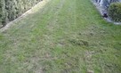 Wertykulacja trawnika - 1