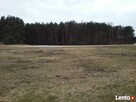 sprzedam działkę budowlaną w Murzynowie - 2