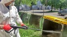 sprzątanie czyszczenie zsypu na śmieci - 4