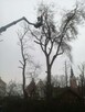 Prace wysokościowe Elbląg Pasłęk Malbork Gdańsk Sopot - 5