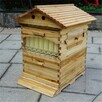Pszczeli ula typu FLOW kompletna + varroa monitoring - 8