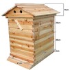 Pszczeli ula typu FLOW kompletna + varroa monitoring - 3