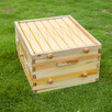 Pszczeli ula typu FLOW kompletna + varroa monitoring - 6