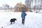 Duda - spokojna i łagodna sunia szuka domu - 7