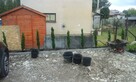 sadzenie roslin przesadzanie - 2