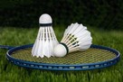 Zajęcia z gry w badmintona - 1