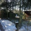 Piękna działka nad jeziorem Klucz łaki, las w poblizu - 6