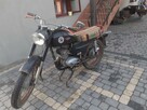 wsk 1981 rok - 1