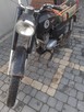 wsk 1981 rok - 2