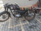 wsk 1981 rok - 3