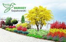 ZAKŁADANIE I PIELĘGNACJA OGRODÓW Ogrody SZPAKOWSKI 502138859 - 9