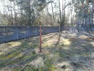 Ogrodzenia tymczasowe z siatki leśnej ogrodzeniea budowlane - 7