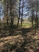 Rynarzewo działka ze ścianą lasu ul.Powstańców Wlkp. - 4