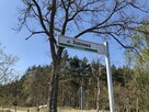 Rynarzewo działka ze ścianą lasu ul.Powstańców Wlkp. - 9