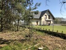 Rynarzewo działka ze ścianą lasu ul.Powstańców Wlkp. - 8