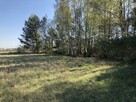 Rynarzewo działka ze ścianą lasu ul.Powstańców Wlkp. - 6