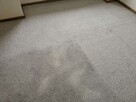 Karcher Zaniemyśl tel 605-412-568 pranie wykładzin tapicerki - 3