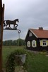Piekne siedlisko 80km od Warszawy, stajnie, staw 2,5ha - 2