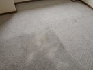 Karcher Leszno 661-373-424 pranie wykładzin tapicerki - 3