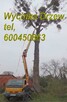 Mycie Dachu, Impregnacja, Mycie Elewacji, Malowanie, Marki, - 8