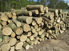 Drewno opałowe, drewno budowlane - 10