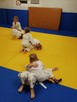 Judo dla dzieci od lat 3. - 2
