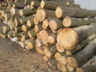 Drewno opałowe, drewno budowlane - 9
