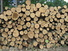 Drewno opałowe, drewno budowlane - 7