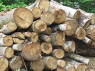 Drewno opałowe, drewno budowlane - 11