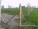 Budowa ogrodzenia Tymczasowe Siatka leśna wybieg dla zwierzą - 2
