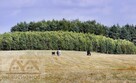 Działka siedliskowa Miechęcino gm. Dygowo, Miechęcino - 3