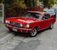 Auto do Ślubu = Samochod Ford Mustang 1966/1965r - 4