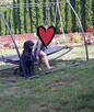 Młody LUKA na życiowym zakęcie szuka nowego domu