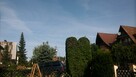 ogrodnik - 3