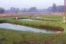 Jesiotr - 7