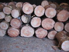 Drewno opałowe: sosna, świerk, lipa, wierzba - klocki 30 cm. - 5