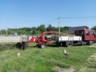 Wycinka krzaków oczyszczanie zarośli karczowanie Mulczer - 7