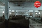 budynek gospodarczy  na sprzedaż w Błotnie - 7