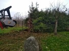 Wycinka krzaków oczyszczanie zarośli karczowanie Mulczer - 6