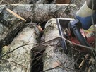 Wycinka krzaków oczyszczanie zarośli karczowanie Mulczer - 4