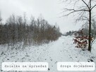 BEZPOŚREDNIO działka budowlana 2490 m2 - ADAMOWIZNA Rysia 3G - 6