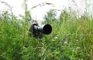 Detektywi Mińsk Mazowiecki Detektyw24h 509001997 - 4