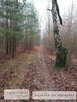 BEZPOŚREDNIO działka budowlana 2490 m2 - ADAMOWIZNA Rysia 3G - 3