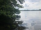 BORY TUCHOLSKIE- CEKCYN z dostępem do jeziora- gaz, prąd, kan. - 14